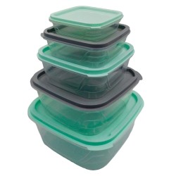 Juego de 5 Tuppers Multitamaño