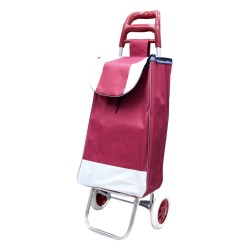 Carrito de Compras Plegable Sencillo